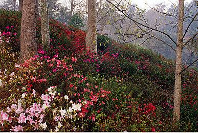 《合金装备OL2》加入三张新地图 项目组发布介绍视频